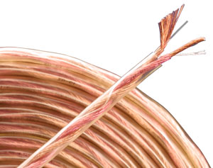 Monster Cable Speaker Wire