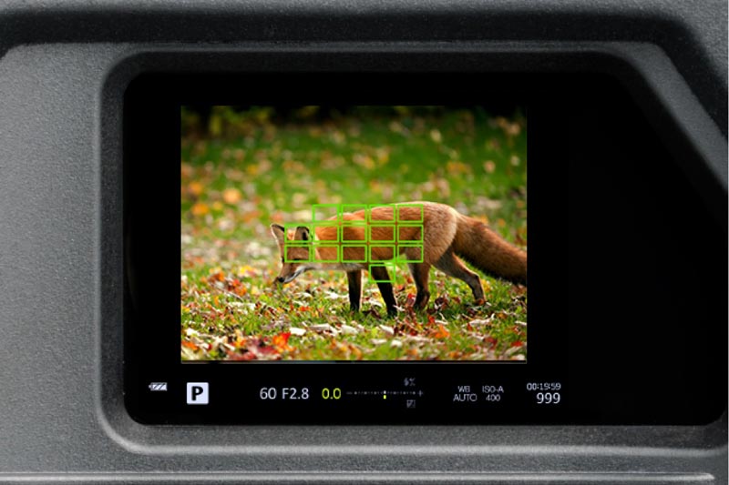 Image of OMD EM1 MK II viewfinder