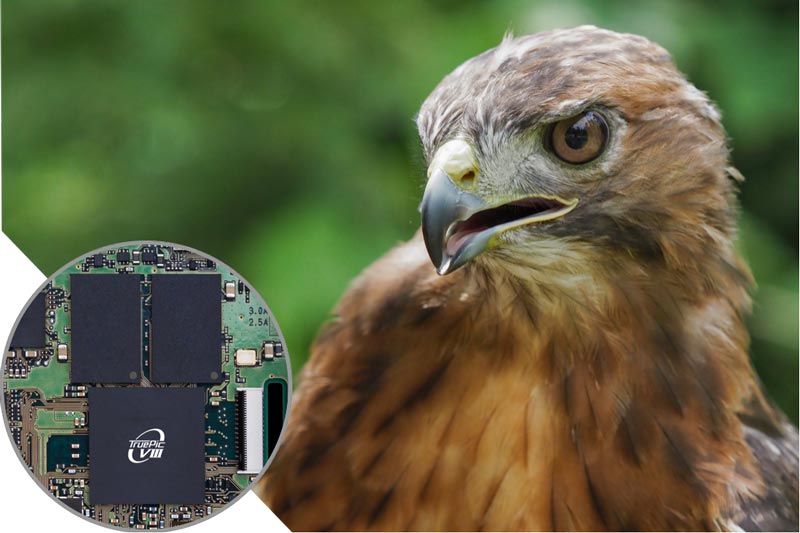 Image of TruPic Turbo and a hawk